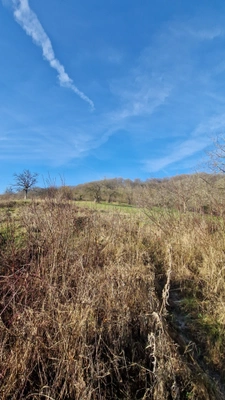 Terrain à vendre 795m² VECKRING (57)