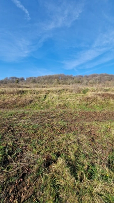 Terrain à vendre 721m² VECKRING (57)