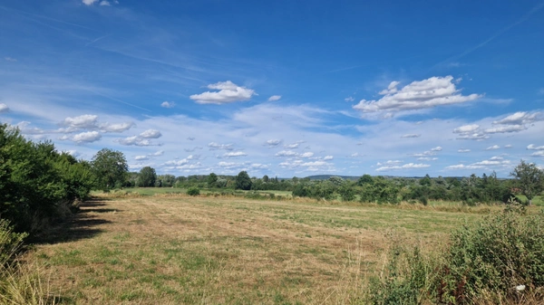 Terrain à vendre 6822m² CATTENOM (57)