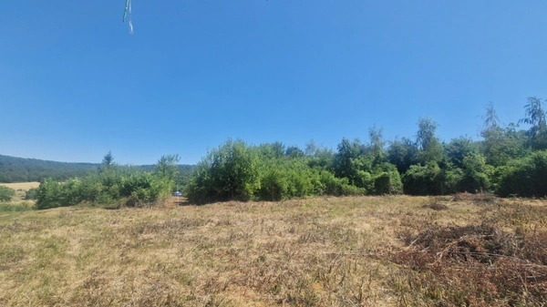 Terrain à vendre 1385m² JAULNY (54)