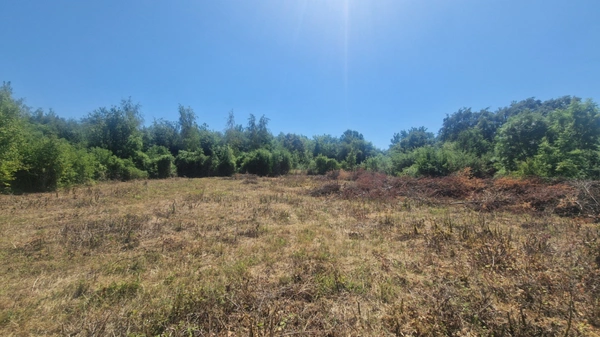 Terrain à vendre 1495m² JAULNY (54)