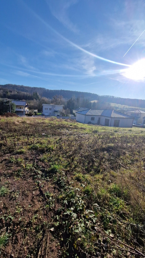 Terrain à vendre 846m² VECKRING (57)