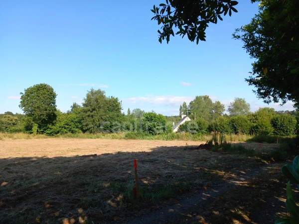 TERRAIN CONSTRUCTIBLE 1224 m2 SAINT QUAY PERROS (22)