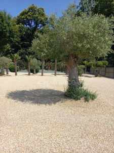MAISON CONTEMPORAINE LANNION (22)