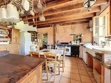 Grande maison de caractère - 356 m² sur terrain de 28 000m2 - Albon
