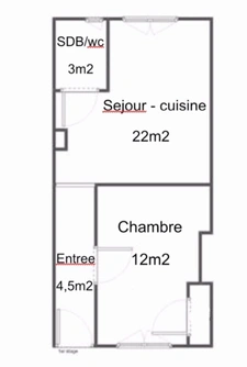 T2 – Vieux Lyon / Perrache – 42 m² rénové – faibles charges et cachet 
