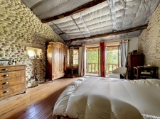 Grande maison de caractère - 356 m² sur terrain de 28 000m2 - Albon