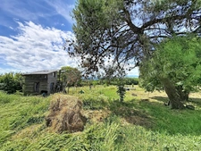 Grande maison de caractère - 356 m² sur terrain de 28 000m2 - Albon