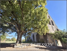 TERRAIN DE 3189 M2 A DIEULIVOL DPT 33 PROCHE DURAS DPT 47 