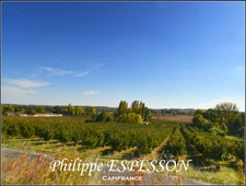 TERRAIN DE 3189 M2 A DIEULIVOL DPT 33 PROCHE DURAS DPT 47 