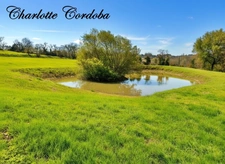 Domaine de caractère de 346m² aux portes de Marmande – Piscine, lac et 2 hectares