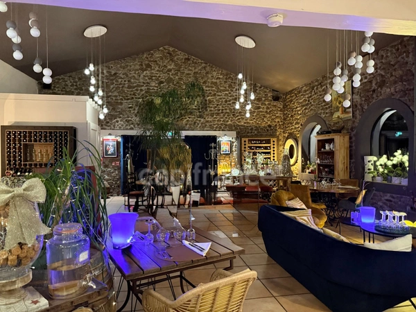 Maison en pierre à vendre 10 pièces ,appart.132 m2 ,surface annexe 314 m2 + Piscine et Bassin naturel