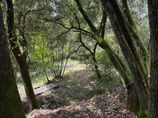 Terrain à bâtir à vendre 1032 m2  CENDRAS (30480)