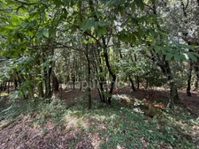 Terrain à bâtir à vendre 799,00 m² CENDRAS (30)proche d'Ales