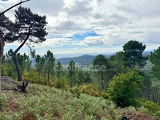 Maison à vendre 3 pièces 72m2  terrain environ 5 Ha ½