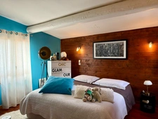 Stone house for sale, 10 rooms, apartment 132 m2, outbuilding 314 m2 + swimming pool and natural pond