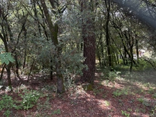 Terrain à bâtir à vendre 1032 m2  CENDRAS (30480)