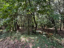 Terrain à bâtir à vendre 1032 m2  CENDRAS (30480)