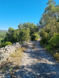 Terrain à vendre avec Mazet en pierre  SAUVE (30)