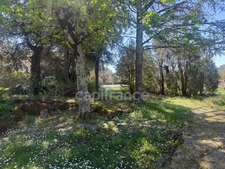 Propriété à vendre 11 pièces /Anduze (30) authentique Mas Cévenol sur terrain 2615 m2