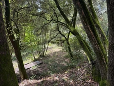 Terrain à bâtir à vendre 799,00 m² CENDRAS (30)proche d'Ales