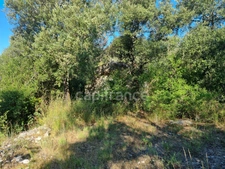 Terrain à vendre avec Mazet en pierre  SAUVE (30)
