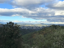 Maison à vendre 3 pièces 72m2  terrain environ 5 Ha ½