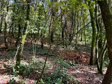 Terrain à bâtir à vendre 799,00 m² CENDRAS (30)proche d'Ales