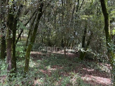 Terrain à bâtir à vendre 1032 m2  CENDRAS (30480)