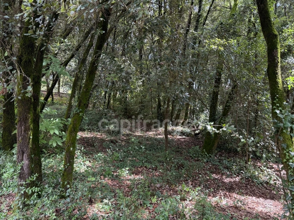 Terrain à bâtir à vendre 1032 m2  CENDRAS (30480)