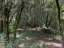 Terrain à bâtir à vendre 799,00 m² CENDRAS (30)proche d'Ales