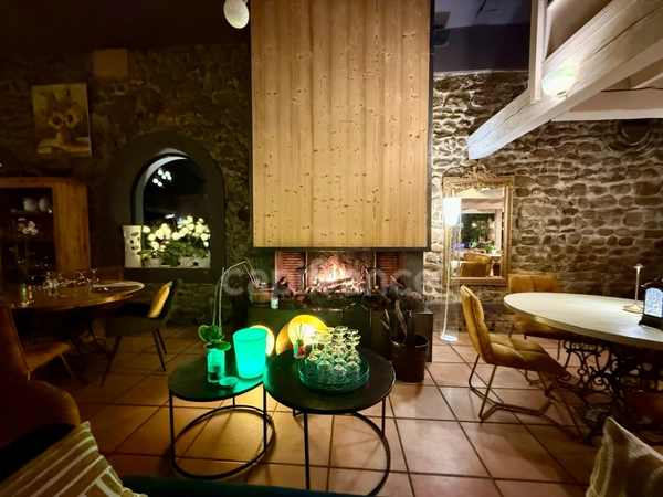 Maison en pierre à vendre 10 pièces ,appart.132 m2 ,surface annexe 314 m2 + Piscine et Bassin naturel