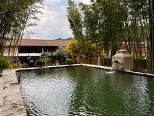 Stone house for sale, 10 rooms, apartment 132 m2, outbuilding 314 m2 + swimming pool and natural pond