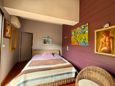 Stone house for sale, 10 rooms, apartment 132 m2, outbuilding 314 m2 + swimming pool and natural pond