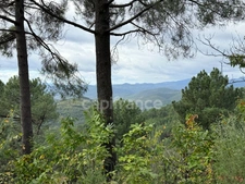 Maison à vendre 3 pièces 72m2  terrain environ 5 Ha ½