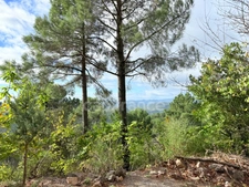 Maison à vendre 3 pièces 72m2  terrain environ 5 Ha ½