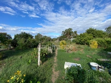 THOUARS (79) Maison à rénover de plain pied -55m2-grand jardin clos avec puits