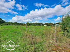PROCHE DE THOUARS Maison de plain pied de 111m2 avec + de 2 hectares de terrain avec dépendance de 900m2 