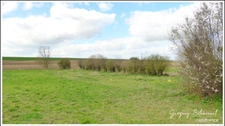 Terrain à Bâtir 1000 m2 