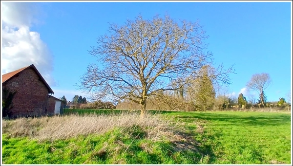 Terrain à bâtir à BIENVILLERS-AU-BOIS