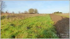 Terrain constructible 900 m² à ACHICOURT