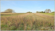 Terrain constructible 530 m² à ACHICOURT