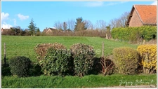Terrain à bâtir à BIENVILLERS-AU-BOIS