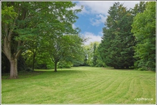 Villa d'architecte dans un parc boisé