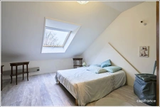 Villa d'architecte dans un parc boisé