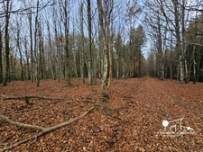 Dpt Aude (11), for sale LES MARTYS property P5 of 110 m² - Land of 20.00 Ha - garage - spring