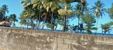 Dpt Martinique (972), à vendre  maison 4 p, 62,4 m² - Terrain de 347,00 m² - Plain pied