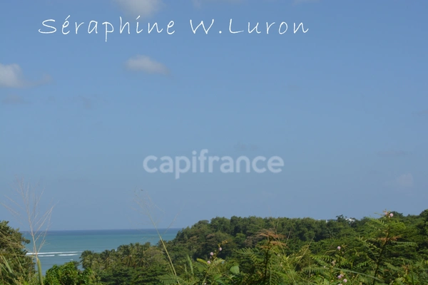 Dépt 972 Terrain à bâtir - 1984,00 m² LA TRINITE - 230 000 €