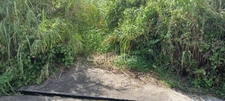 Dépt Martinique (972) à vendre Terrain GROS-MORNE 5303,00 m²  - 459 000 €