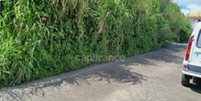 Dépt Martinique (972) à vendre Terrain GROS-MORNE 5303,00 m²  - 459 000 €